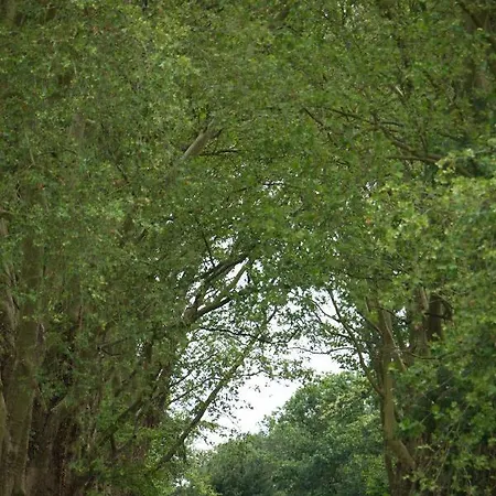 Alexandra Palace - La Maison Younan Отель 5*