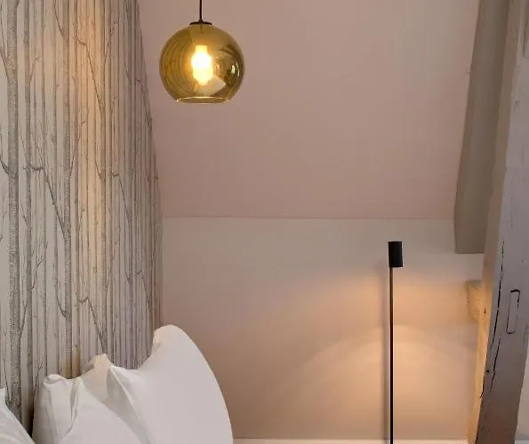 Alexandra Palace - La Maison Younan فندق