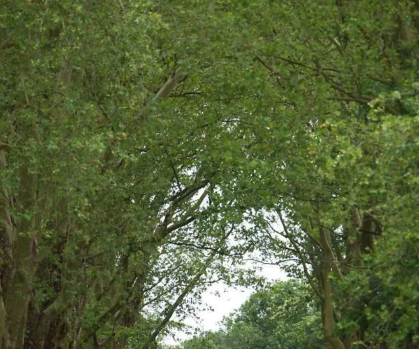 Alexandra Palace - La Maison Younan Hotel 5*